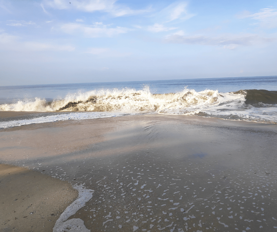  Alleppey Beach